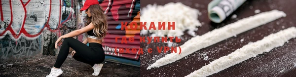 соль ск Абаза