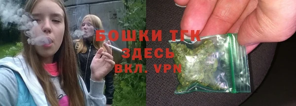 соль ск Абаза
