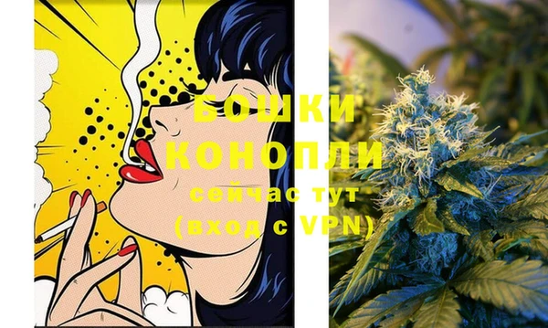 соль ск Абаза