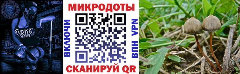 хочу   Мостовской  Галлюциногенные грибы прущие грибы 